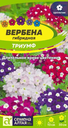 Вербена Триумф гибридная  купить