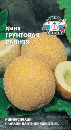 Дыня Грунтовая ранняя  купить