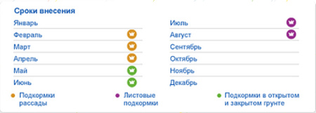 ФЕРТИКА кристалон 100г цветочный купить