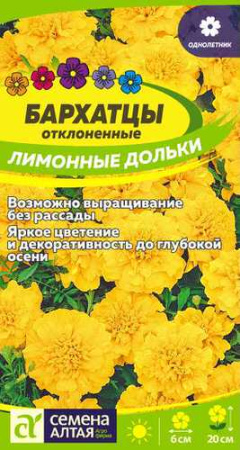 Бархатцы Лимонные Дольки махровые купить