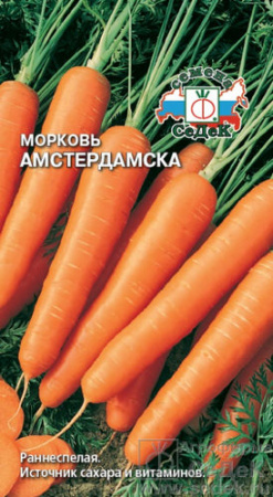 Морковь Амстердамска купить