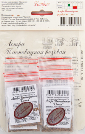 Астра Пионовидная Даная (Розовая)/1шт купить