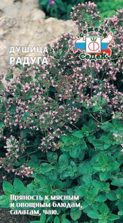 Душица Розовая Радуга  купить