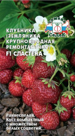 Земляника Сластена F1  купить