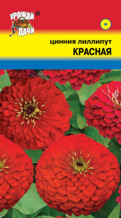 Цинния лиллипут Красная  купить
