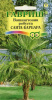 Вашингтония мощная Санта-Барбара купить