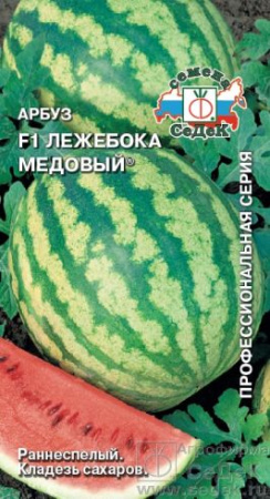 Арбуз Лежебока Медовый ранний F1 купить