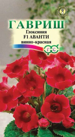 Глоксиния Аванти F1 Винно-красная купить