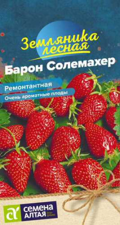 Земляника Барон Солемахер  купить