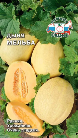 Дыня Мельба  купить