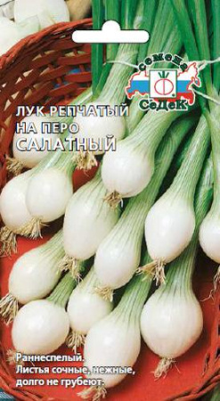 Лук Салатный, на зелень купить