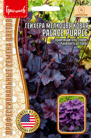 Гейхера Дворцовая фиолетовая (Palace Purple) мелкоцветковая купить