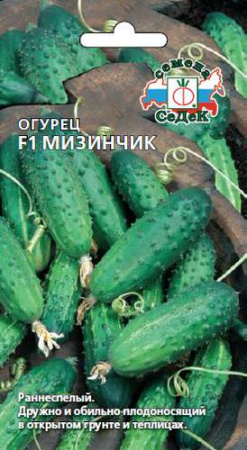 Огурец Мизинчик F1  купить