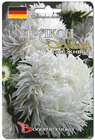 Астра Дракон селект Снежный  купить