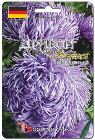 Астра Дракон селект Небесный  купить