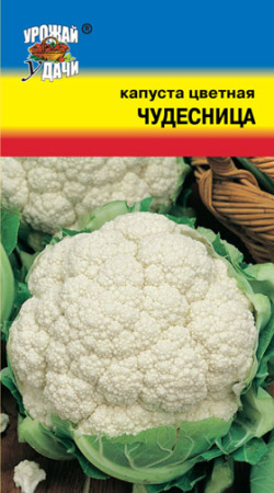 Капуста (цветная) Чудесница  купить