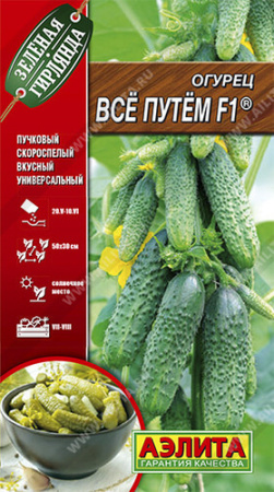 Огурец Все путем F1® купить