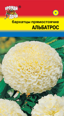 Бархатцы Альбатрос махр. прямостоячие купить