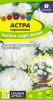 Астра Тысяча чудес Белая карликовая  купить
