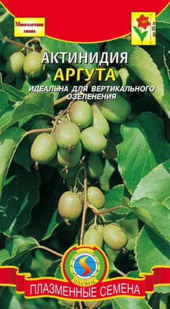 Актинидия Аргута  купить