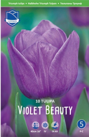 Тюльпан триумф "Violet Beauty" (1х10шт) купить