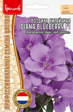 Гвоздика Диана Блуберри (Diana Blueberry) купить