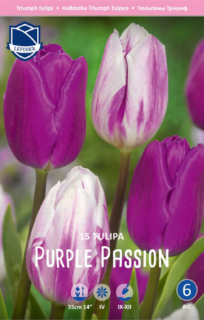 Смесь тюльпанов "Purple Passion" (1х15шт) купить