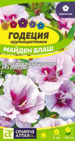 Годеция Майден Блаш  купить
