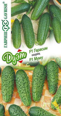 Огурец Герасим F1+ Муму F1  купить