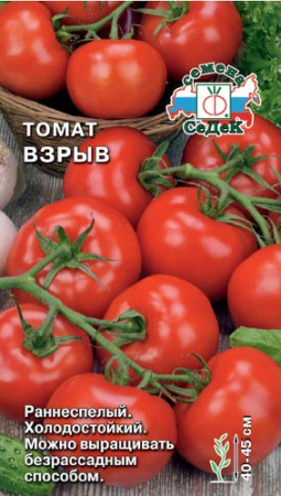 Томат Взрыв  купить