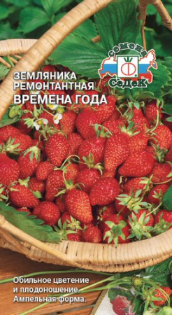 Земляника Мармеладная (ремонтантная мелкоплодная) купить