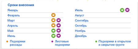 ФЕРТИКА кристалон 100г огуречный купить