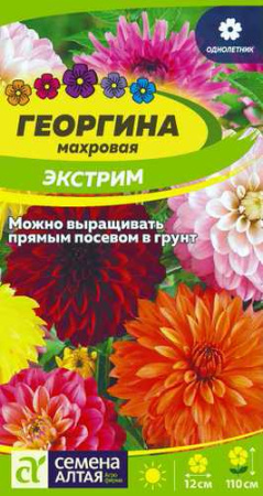 Георгина Экстрим  купить