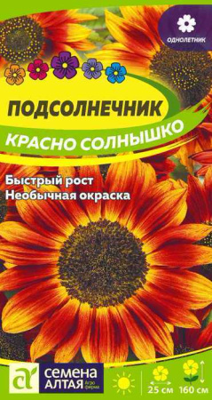Подсолнечник Красно Солнышко купить