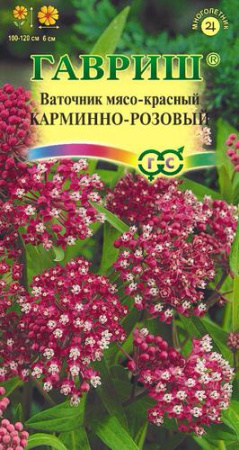 Ваточник Карминно-розовый  купить