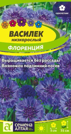 Василек Флоренция низкорослый купить