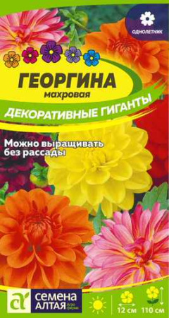 Георгина Декоративные гиганты  купить