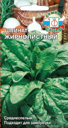 Шпинат Жирнолистный  купить