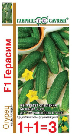 Огурец Герасим F1 1+1 корнишон купить