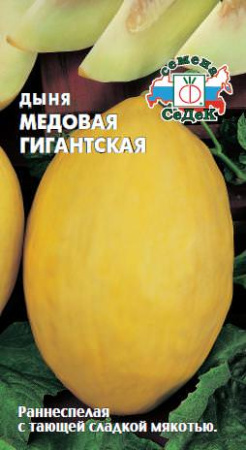 Дыня Медовая гигантская  купить