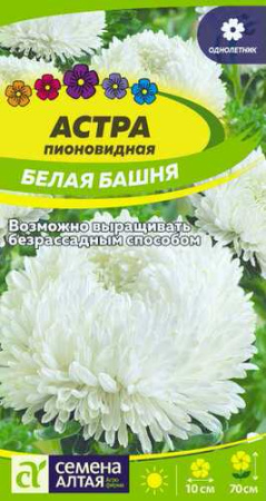 Астра Башня белая пионовидная купить