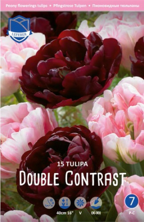 Смесь тюльпанов "Double Contrast" (1х15шт) купить