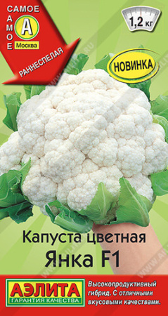 Капуста (цветная) Янка  купить