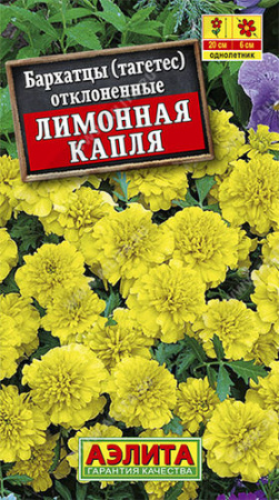 Бархатцы Лимонная капля отклоненные купить