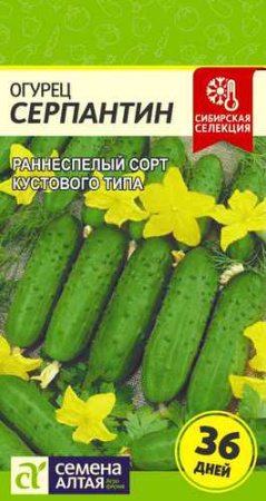 Огурец Серпантин  купить