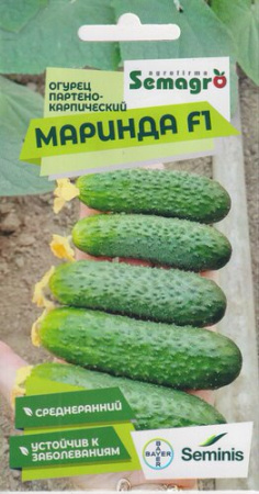 Огурец Маринда F1  купить