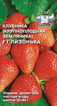 Земляника Лизонька F1 (крупноплодная, раннеспелая) купить