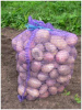Сетка мешок 50*80 с завязками/50 фиолетов. купить