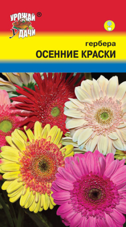 Гербера Осенние краски смесь  махр. купить