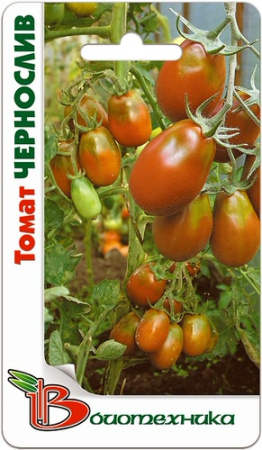 Томат Чернослив купить
